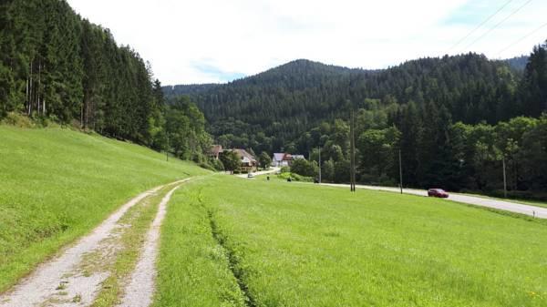 Be Me Black Forest Family Apartment -Zum Letzten G'Stehr Bad Rippoldsau-Schapbach エクステリア 写真